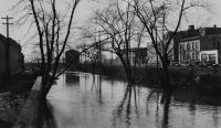 View over canal with bare trees and buildings in background